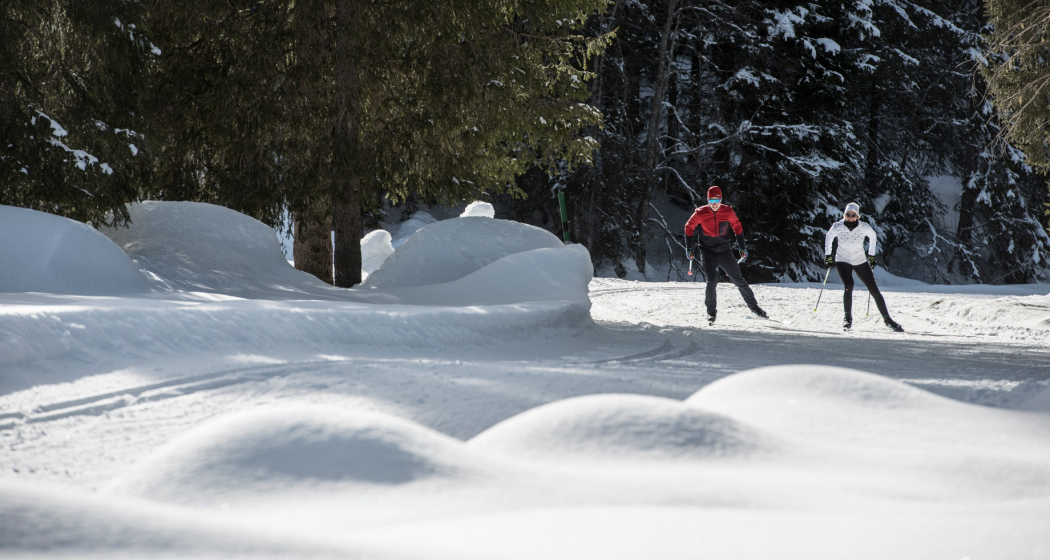 Garfiuner Roller Coaster (oua_44983156_image)