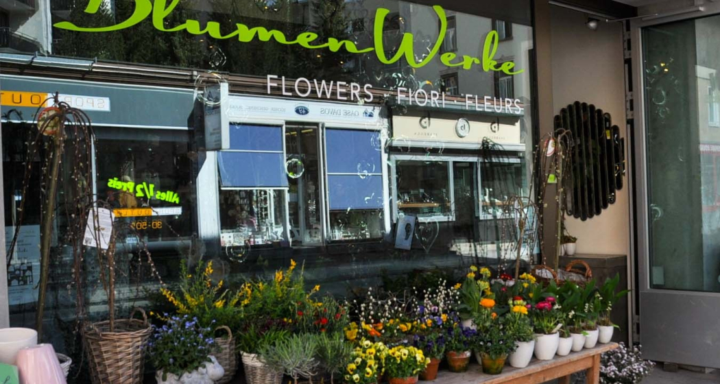 Blumen und Wohnwerke GmbH (oua_45097768_image) Blumen und Wohnwerke GmbH (oua_45097768_image)