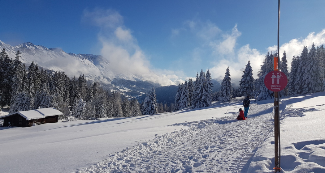 Edelweissrundweg Brambrüesch Edelweissrundweg Brambrüesch
