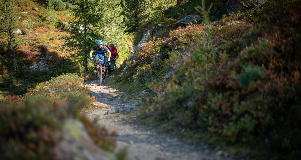 Flüela (oua_46216837_image) Flüela (oua_46216837_image)