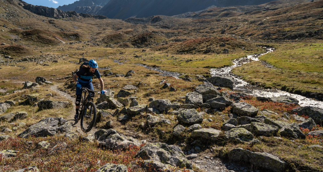 Flüela (oua_46216838_image) Flüela (oua_46216838_image)