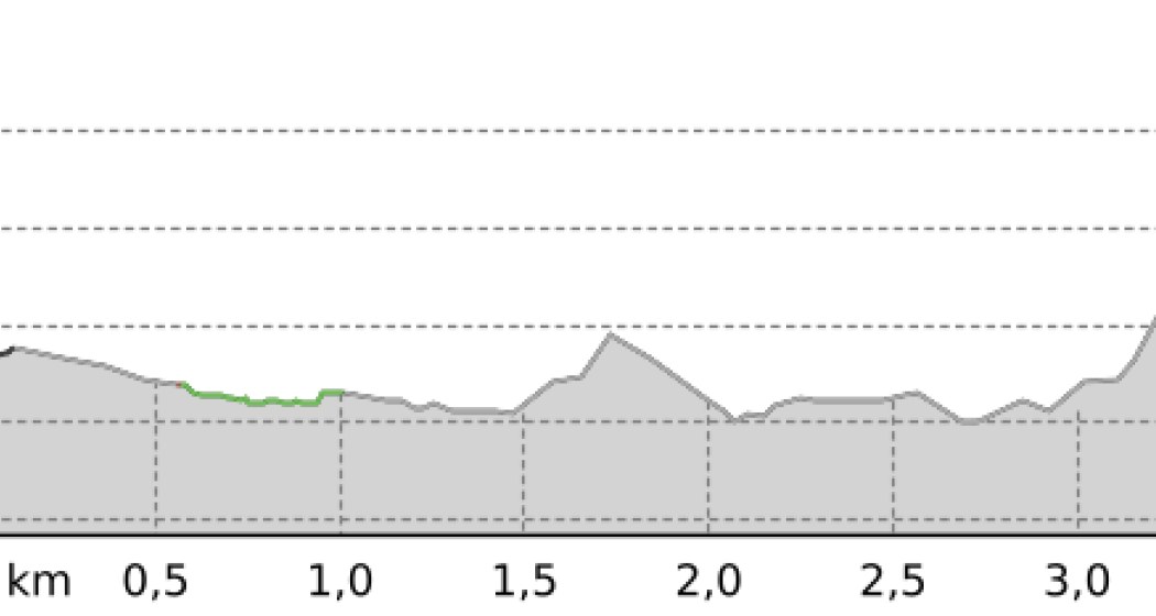 Sur En – Ramosch (oua_47312221_8ec1ecd_profile) Sur En – Ramosch (oua_47312221_8ec1ecd_profile)