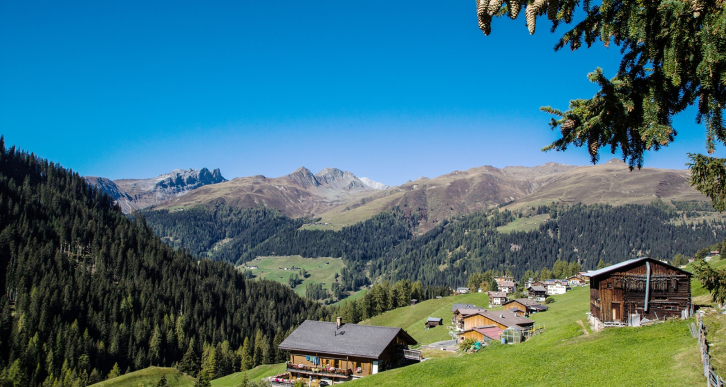 334 Clavadeler Alp (E-MTB tauglich) (oua_47613643_image)