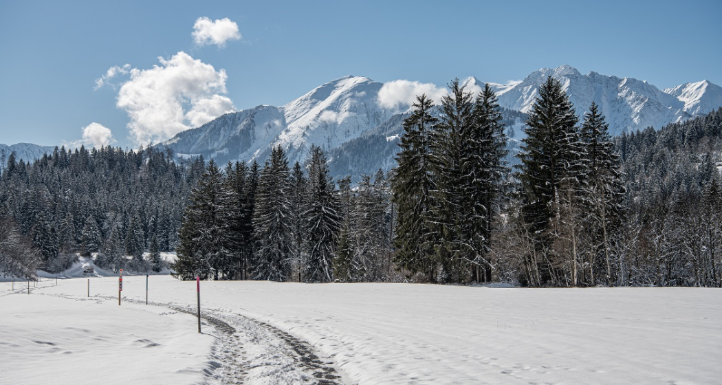28 Flims Dorf - Crestasee (oua_47951551_image) 28 Flims Dorf - Crestasee (oua_47951551_image)