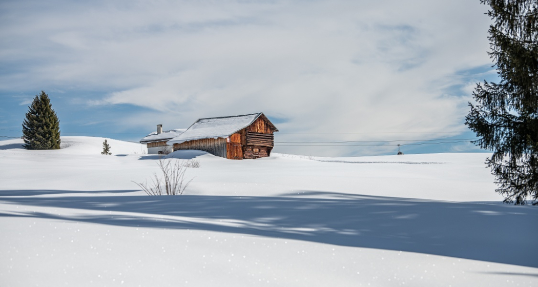 Schneeschuhtour Nr. 501 Curnius - Falera (oua_47959932_image) Schneeschuhtour Nr. 501 Curnius - Falera (oua_47959932_image)