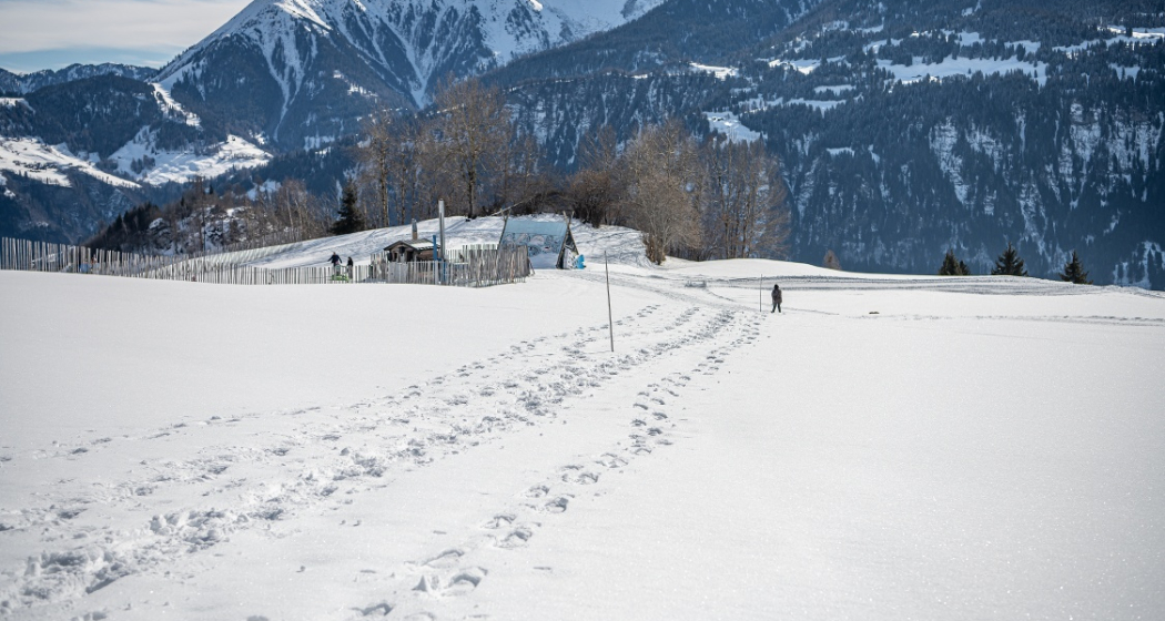 Schneeschuhtour Nr. 501 Curnius - Falera (oua_47960010_image) Schneeschuhtour Nr. 501 Curnius - Falera (oua_47960010_image)