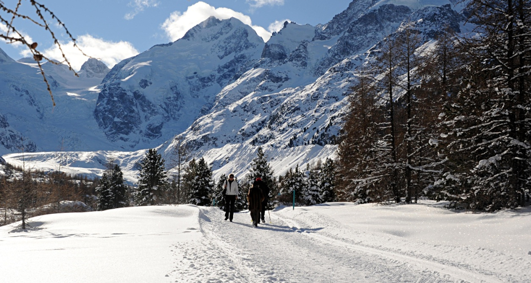 Winterwanderweg Morteratsch Winterwanderweg Morteratsch