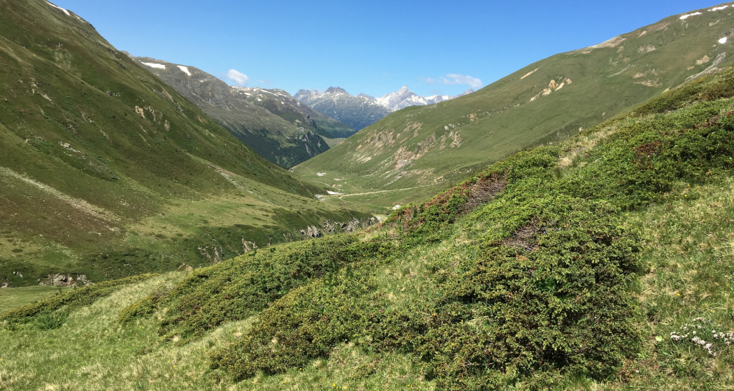 Blick zurück ins Val Chamuera Blick zurück ins Val Chamuera