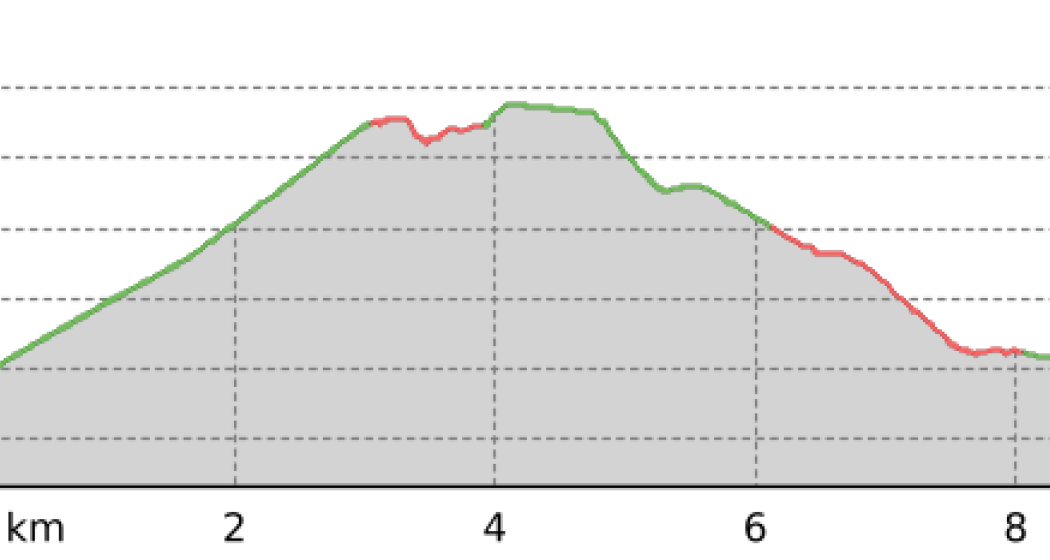 Feierabend Run La Plaiv (oua_49383459_e0787d4_profile)