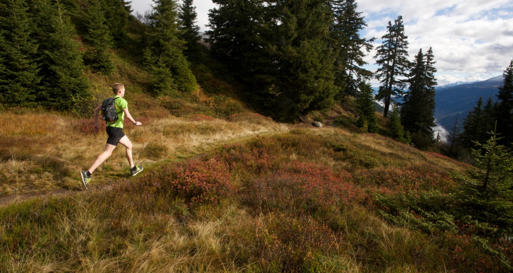Kloster Disentis - Caischavedra - Bostg (oua_49467113_image)