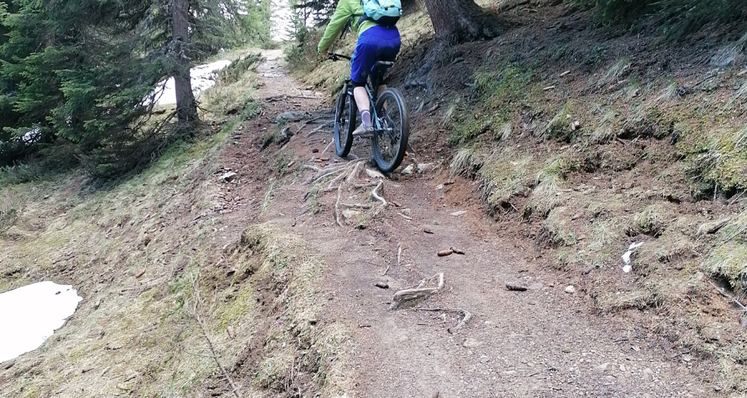 Wurzelpassagen Prätschlialp Trail Wurzelpassagen Prätschlialp Trail