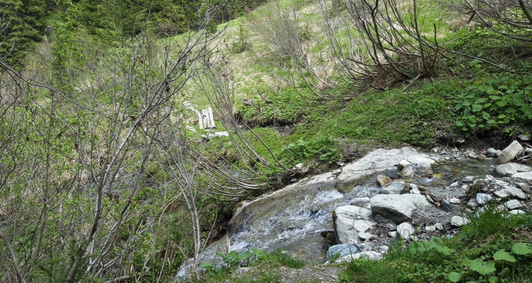Zugang über den Bach Zugang über den Bach