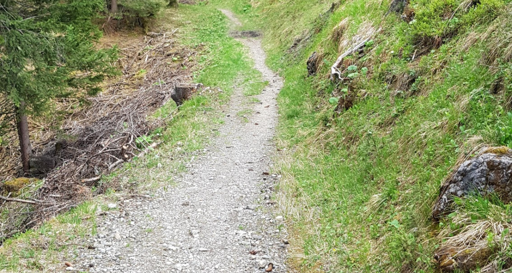 Isla Trail Isla Trail