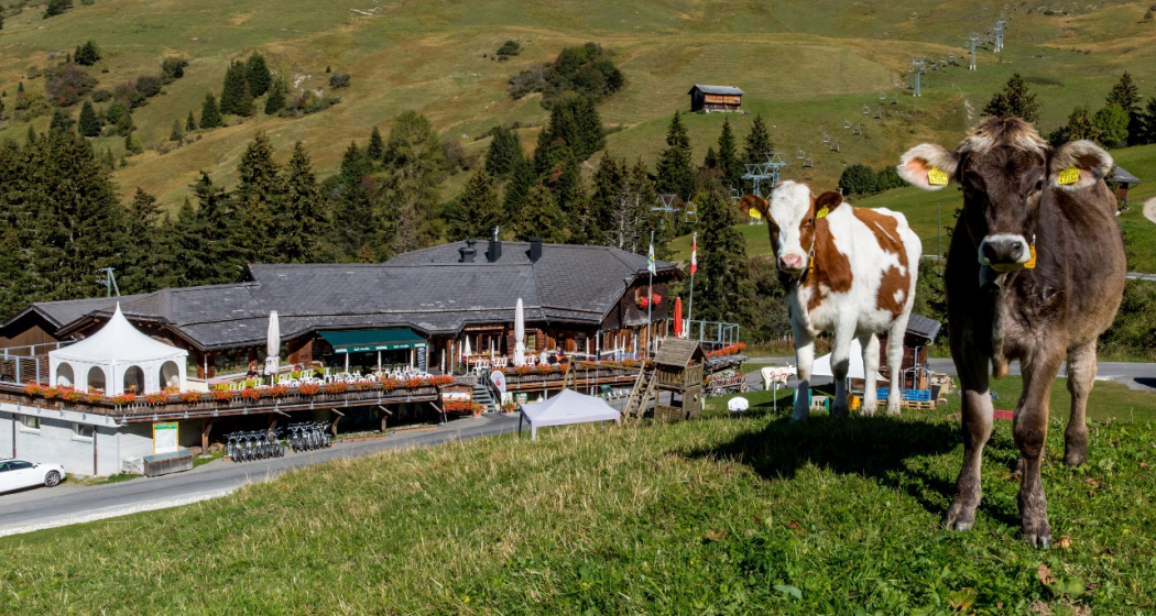 Das alte Restaurant Wali