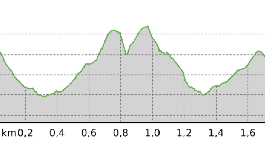Orchideenwanderung am Lag digl Oberst in Laax (oua_50187790_72f512d_profile) Orchideenwanderung am Lag digl Oberst in Laax (oua_50187790_72f512d_profile)