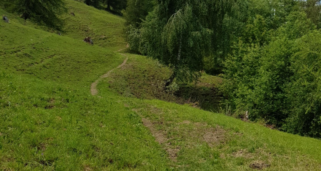 Trail von Tschiertschen nach Praden Trail von Tschiertschen nach Praden