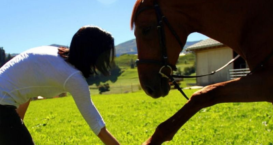 EquiCoaching - personal Training für dein Pferd, Brigels (oua_51156534_image) EquiCoaching - personal Training für dein Pferd, Brigels (oua_51156534_image)