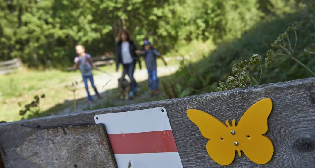 Schmetterlingsweg Tschiertschen Schmetterlingsweg Tschiertschen