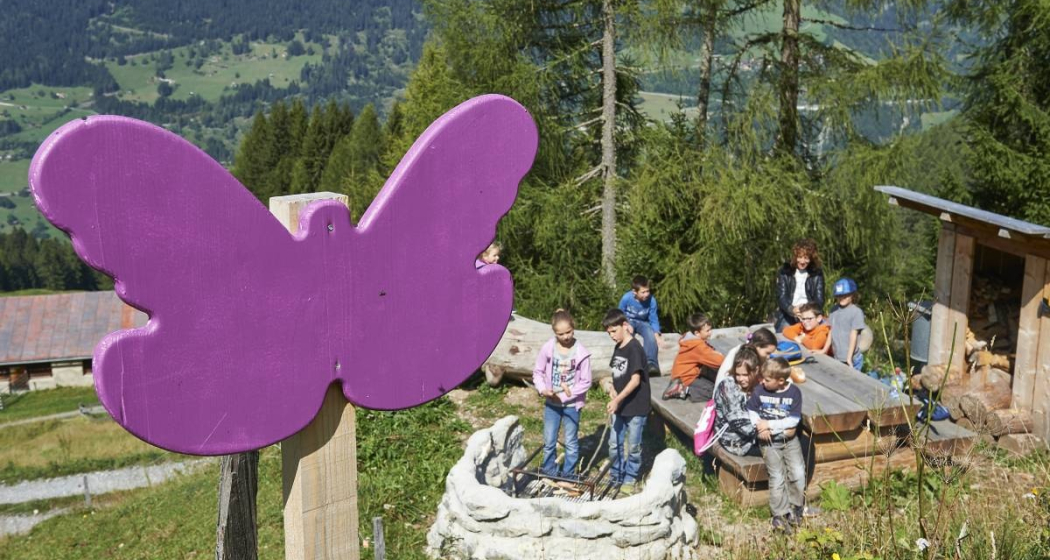 Schmetterlingsweg Tschiertschen Schmetterlingsweg Tschiertschen