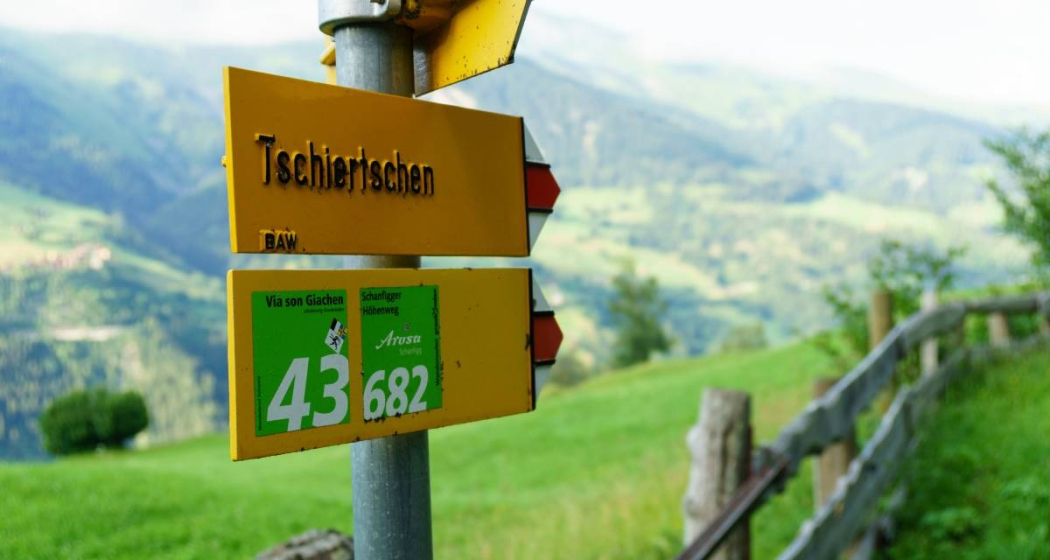 Dominic Frei Dominic Frei