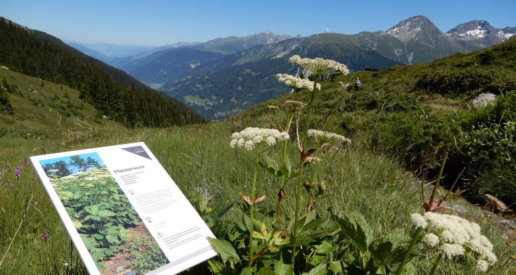 Information am Wegrand