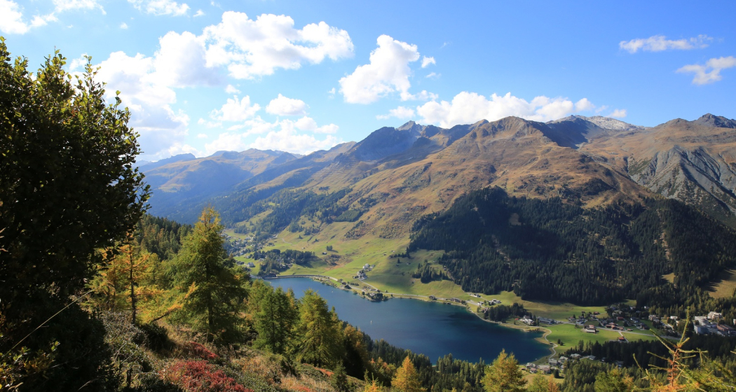 Drusatscha (oua_51330916_image) Drusatscha (oua_51330916_image)