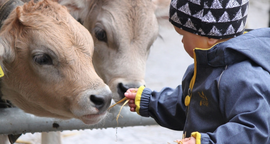 Hoflädeli-Rundtour Tschiertschen Hoflädeli-Rundtour Tschiertschen