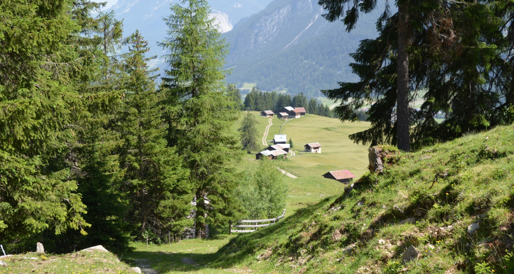 Radons - Tigia - Parnoz - Savognin (oua_51720654_image) Radons - Tigia - Parnoz - Savognin (oua_51720654_image)