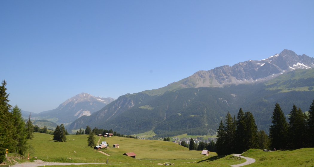 Radons - Tigia - Parnoz - Savognin (oua_51720667_image) Radons - Tigia - Parnoz - Savognin (oua_51720667_image)