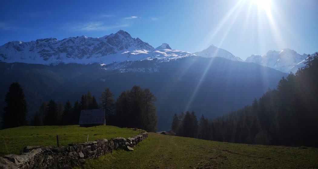 Radons - Tigia - Parnoz - Savognin (oua_51720699_image) Radons - Tigia - Parnoz - Savognin (oua_51720699_image)