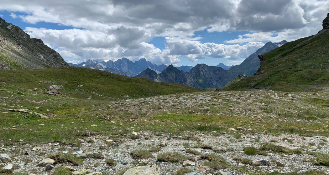 Bivio - Septimerpass - Lunghinpass (Dreifache Wasserscheide) - Maloja (oua_51819704_image)