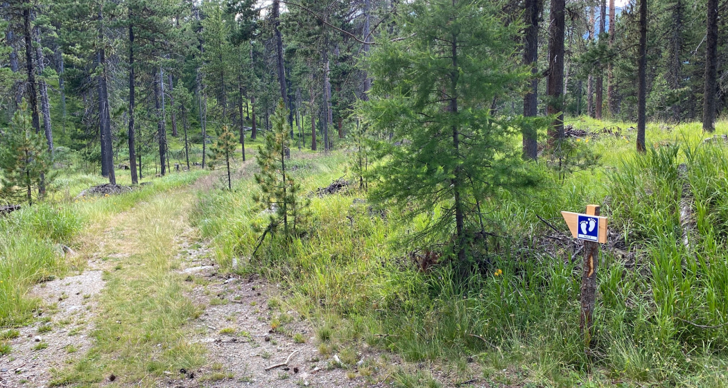 Barfusstrail Barfusstrail