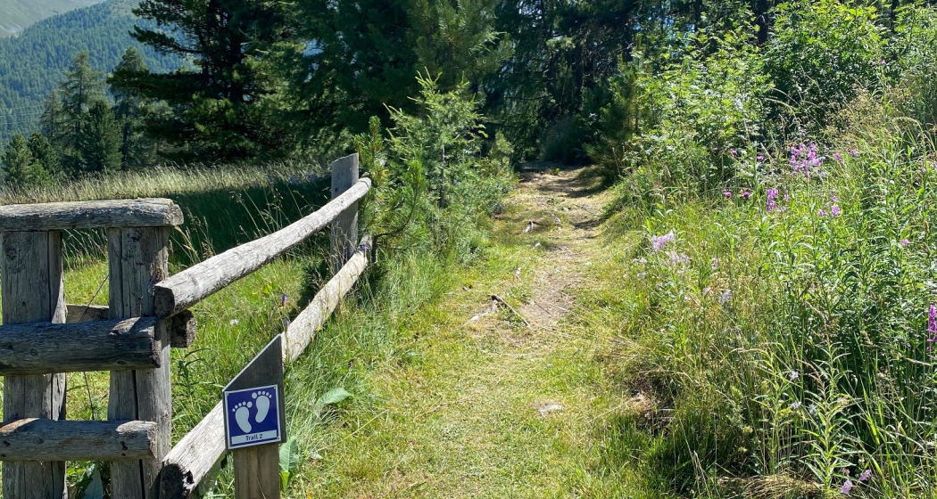 Barfusstrail Barfusstrail