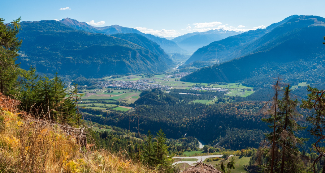 Alp Mora Alp Mora
