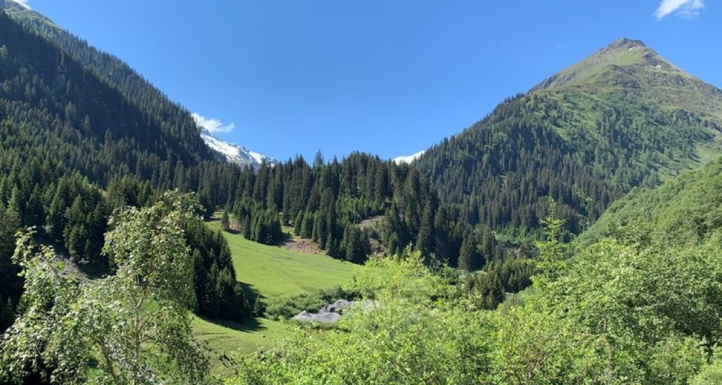Plaun Tgiern, Vrin Plaun Tgiern, Vrin