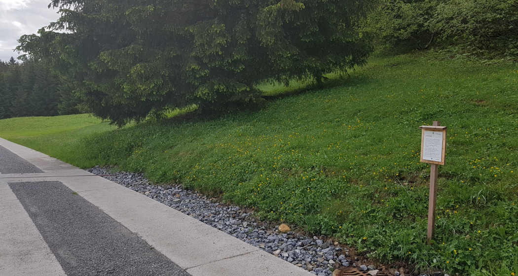 Witzweg, Surcuolm Witzweg, Surcuolm