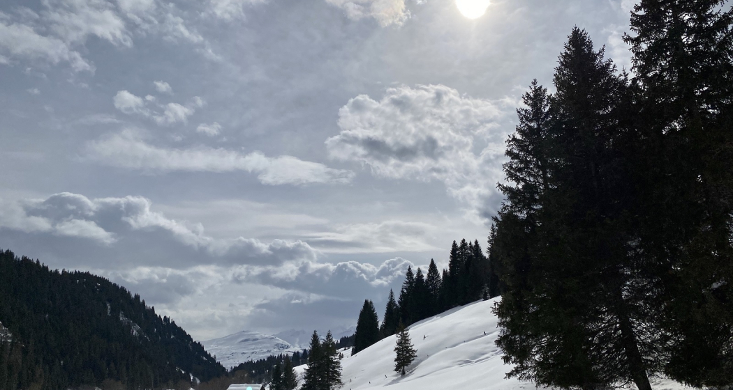 Ladral (oua_53324633_image) Ladral (oua_53324633_image)