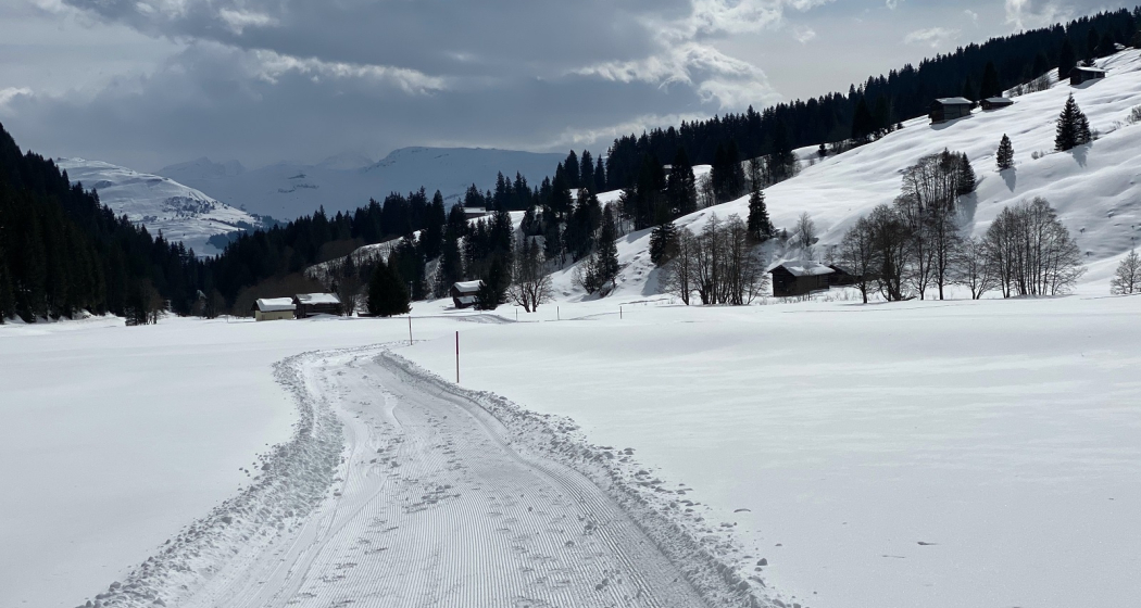 Ladral (oua_53324634_image) Ladral (oua_53324634_image)
