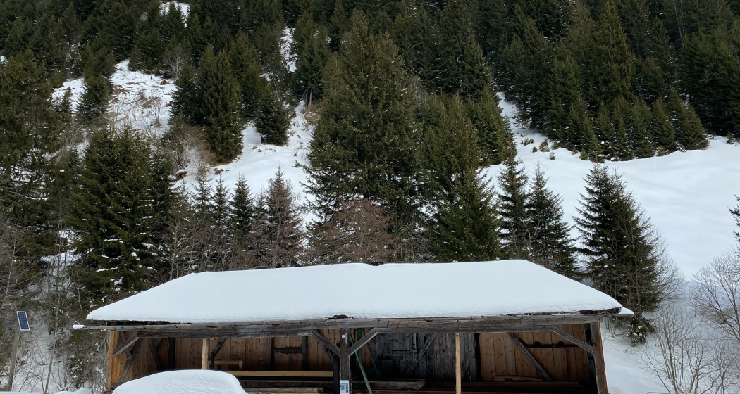 Ladral (oua_53324635_image) Ladral (oua_53324635_image)