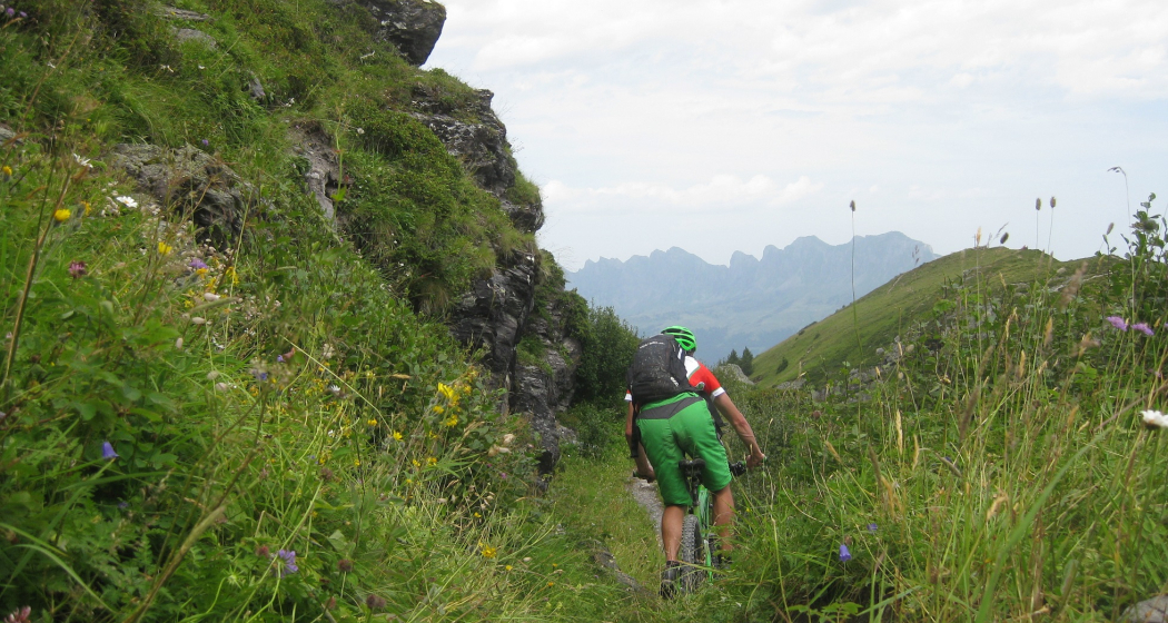 Aussicht auf die Churfirsten Aussicht auf die Churfirsten