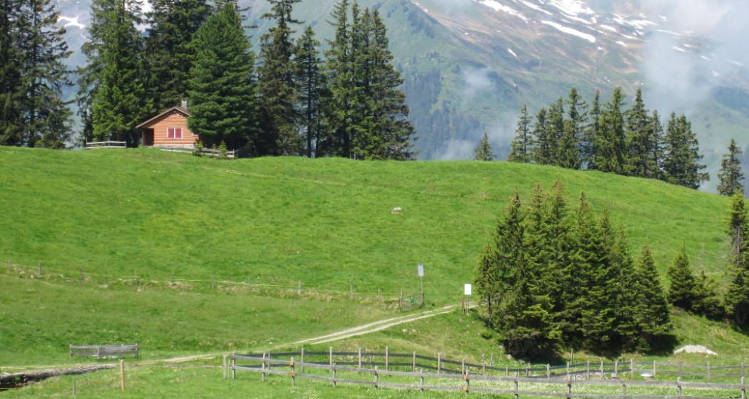 Blick von der Alp ober Precht Blick von der Alp ober Precht