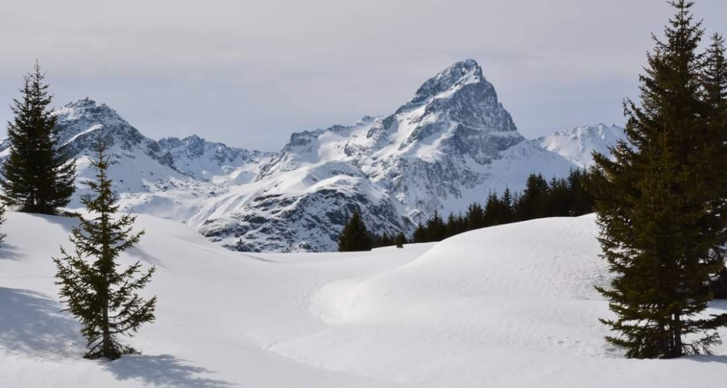 Winterwanderweg Alp Flix (oua_54549743_image) Winterwanderweg Alp Flix (oua_54549743_image)
