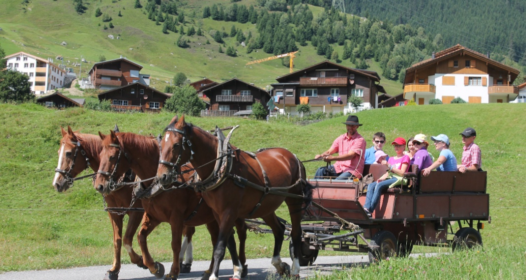 Kutschenfahrt im Sommer Kutschenfahrt im Sommer