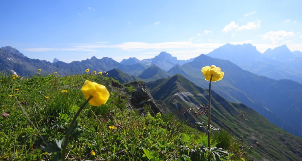 Siebengipfeltour Sassauna-Girenspitz (oua_54686154_image)