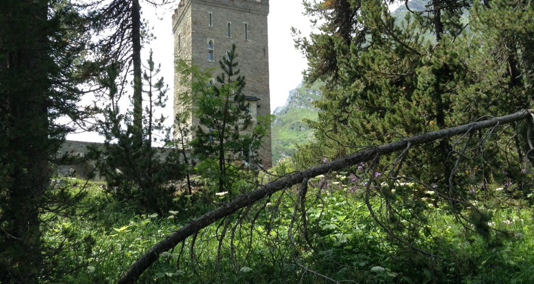 Turm Belvedere (oua_54883293_image) Turm Belvedere (oua_54883293_image)