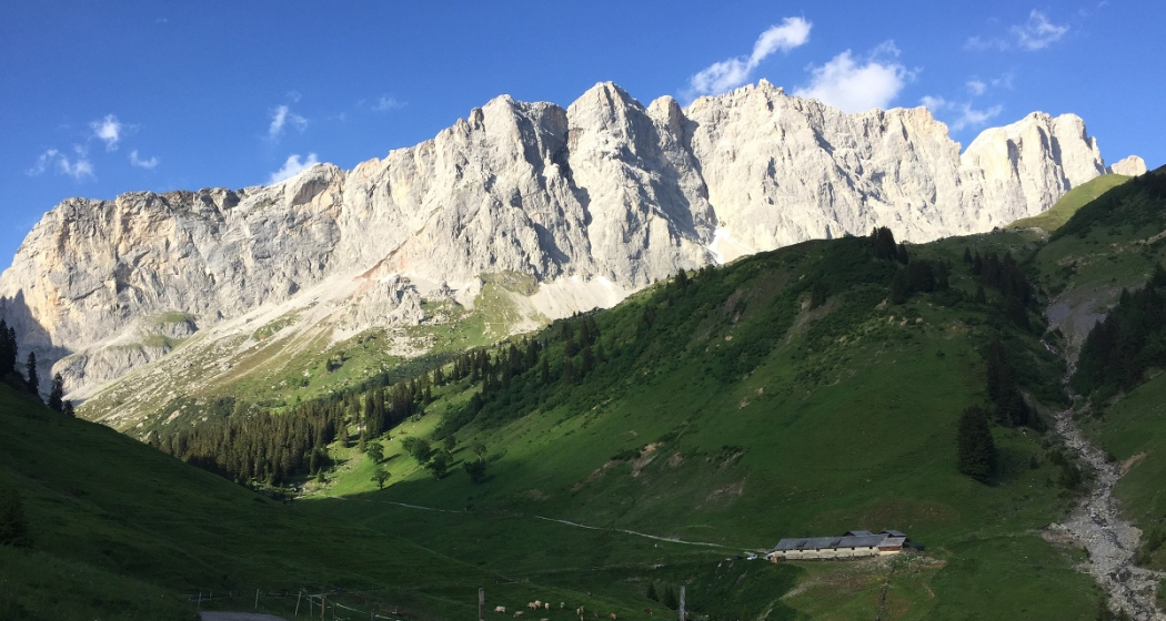 Grüscher Älpli unterhalb Drusenfluh Grüscher Älpli unterhalb Drusenfluh