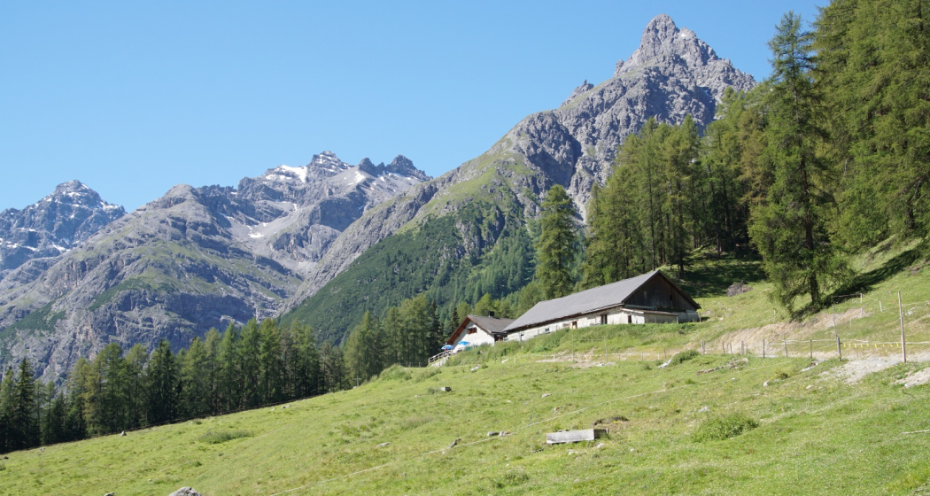 Alp Laisch Alp Laisch