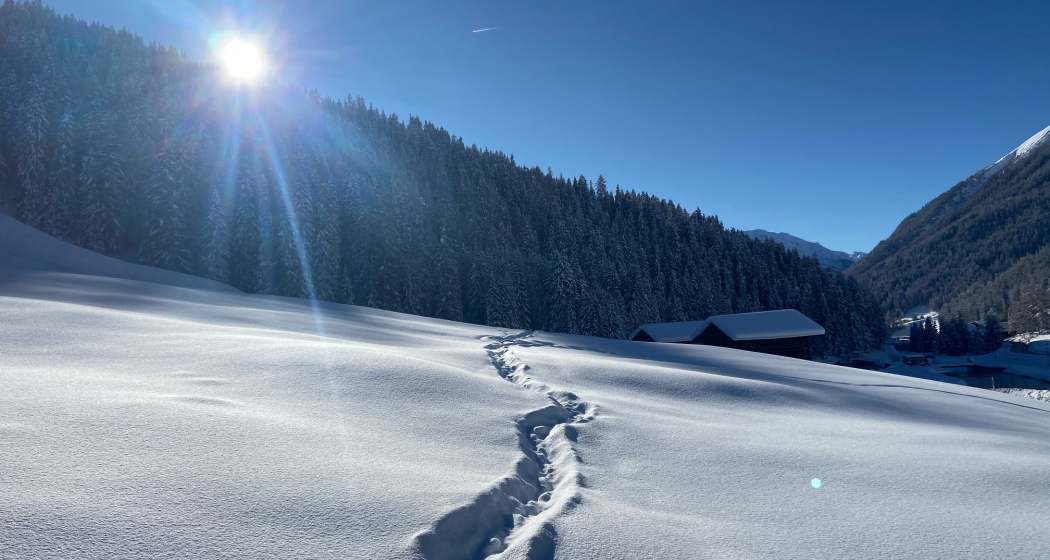 Landwasser-Trail (oua_55299623_image)