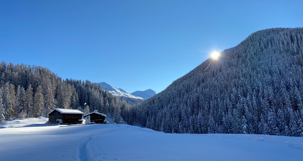 Wildboden-Trail (oua_55299624_image)