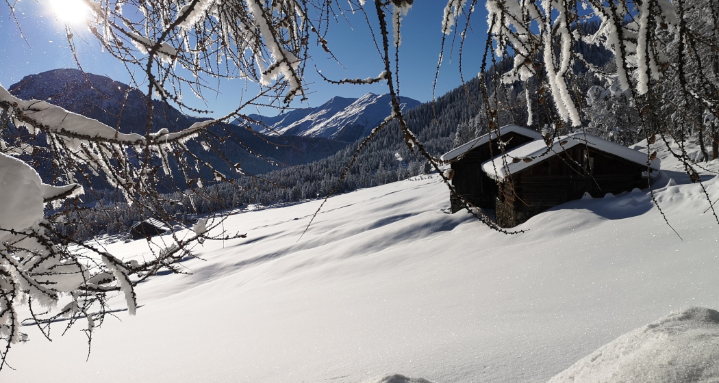 Aussichtsreiche Rundwanderung von Davos über Wolfgang (oua_55299667_image) Aussichtsreiche Rundwanderung von Davos über Wolfgang (oua_55299667_image)